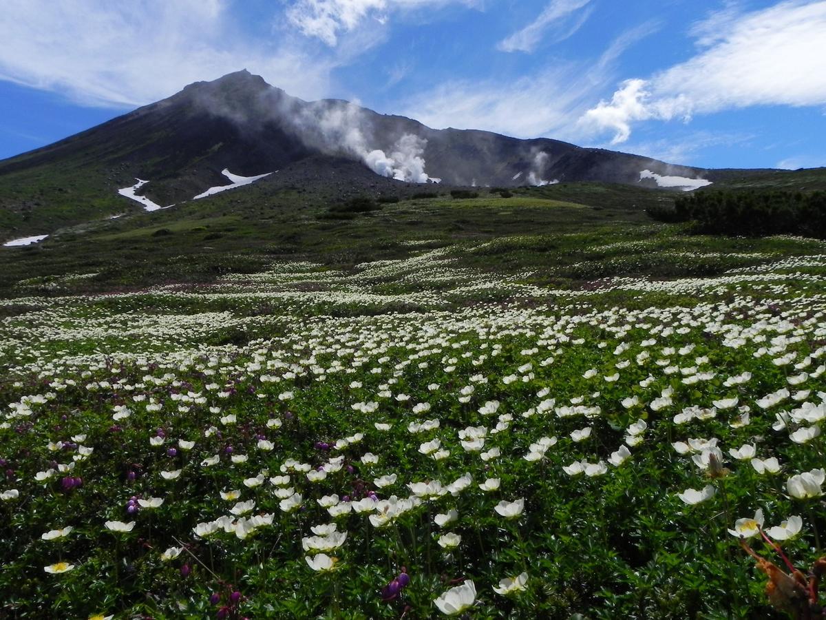 Asahidake Onsen Hotel Deer Valley Higashikawa Bagian luar foto