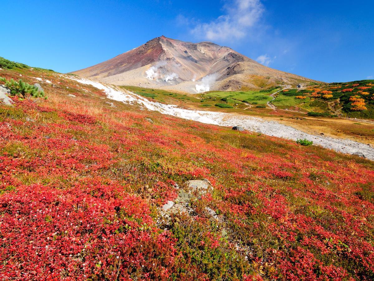 Asahidake Onsen Hotel Deer Valley Higashikawa Bagian luar foto