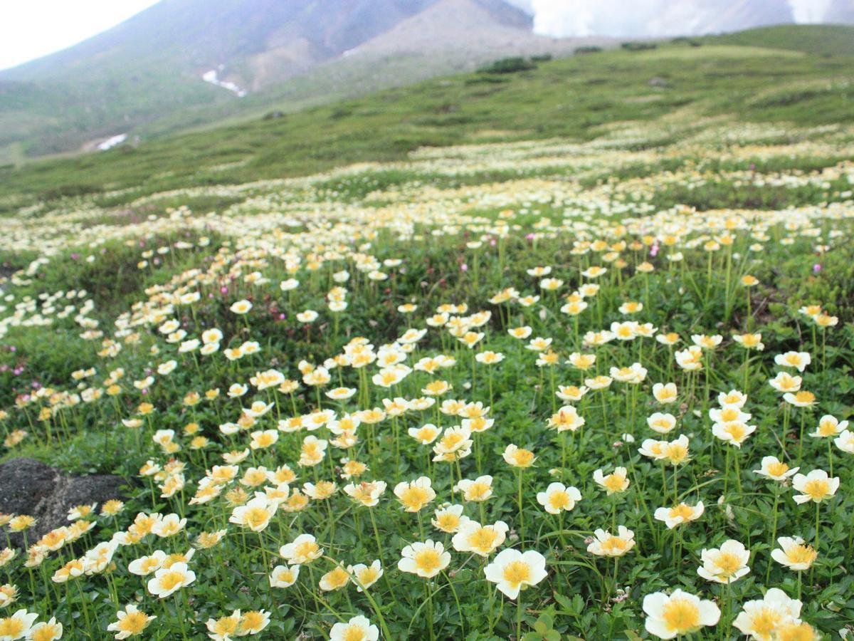 Asahidake Onsen Hotel Deer Valley Higashikawa Bagian luar foto